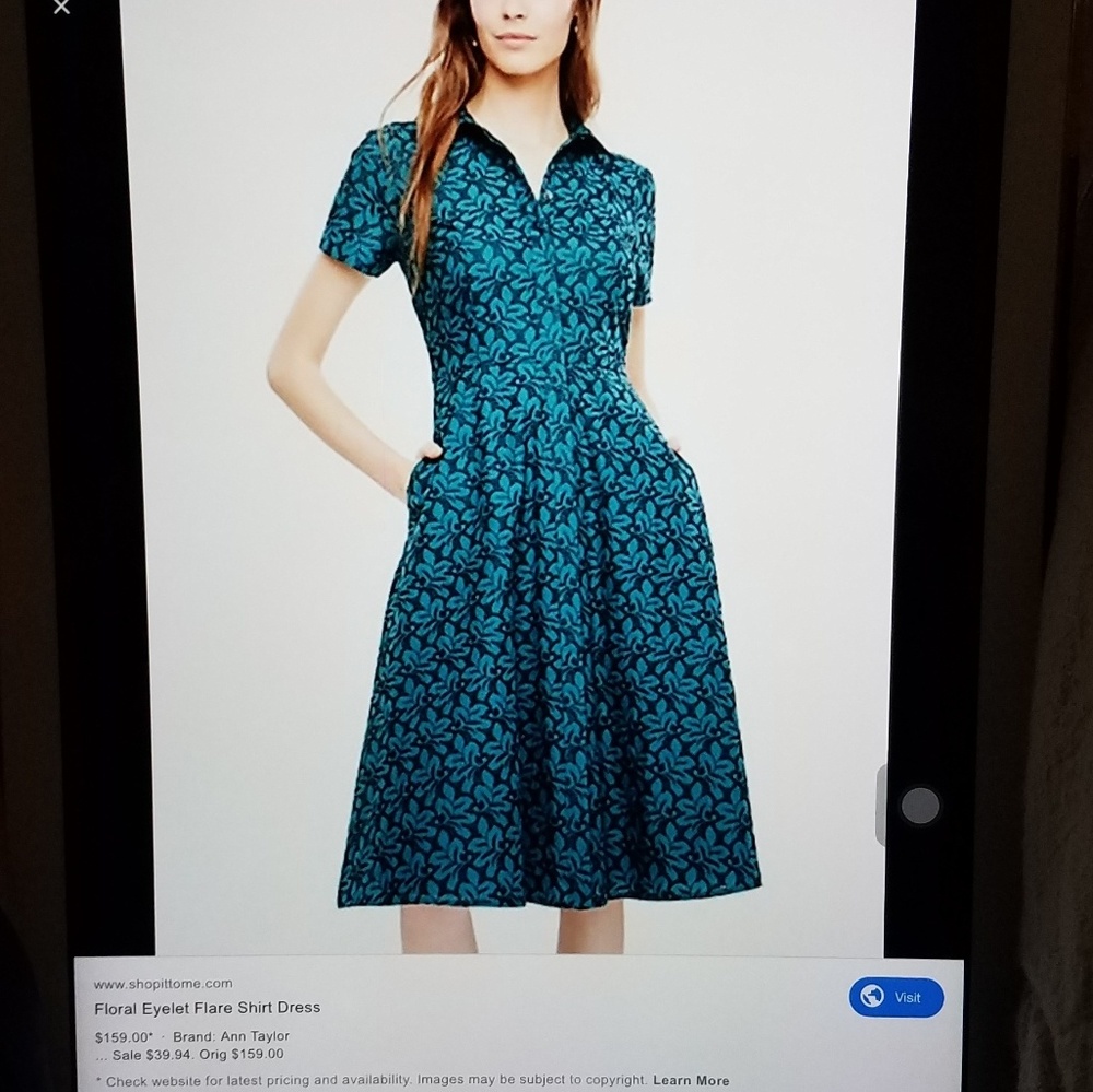 Ann Taylor Green Eyelet Button Up Dress